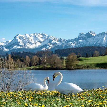 Direkt Am See Mit Bergblick Seeg Exterior foto
